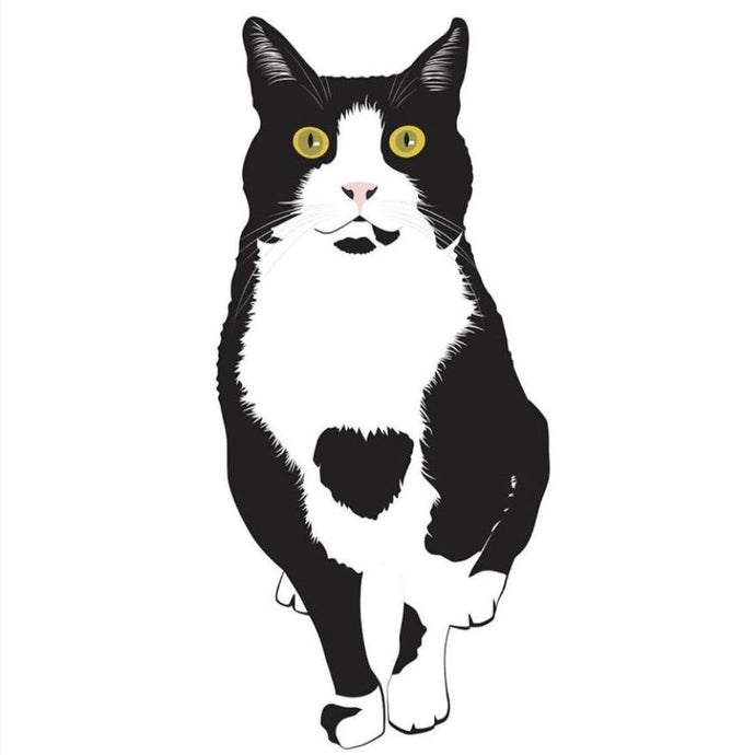 Douglas The Gato Cards