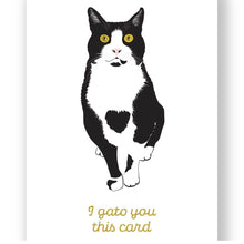 Douglas The Gato Cards